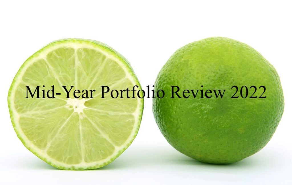 Mid-Year-Portfolio-Review-2022.jpg