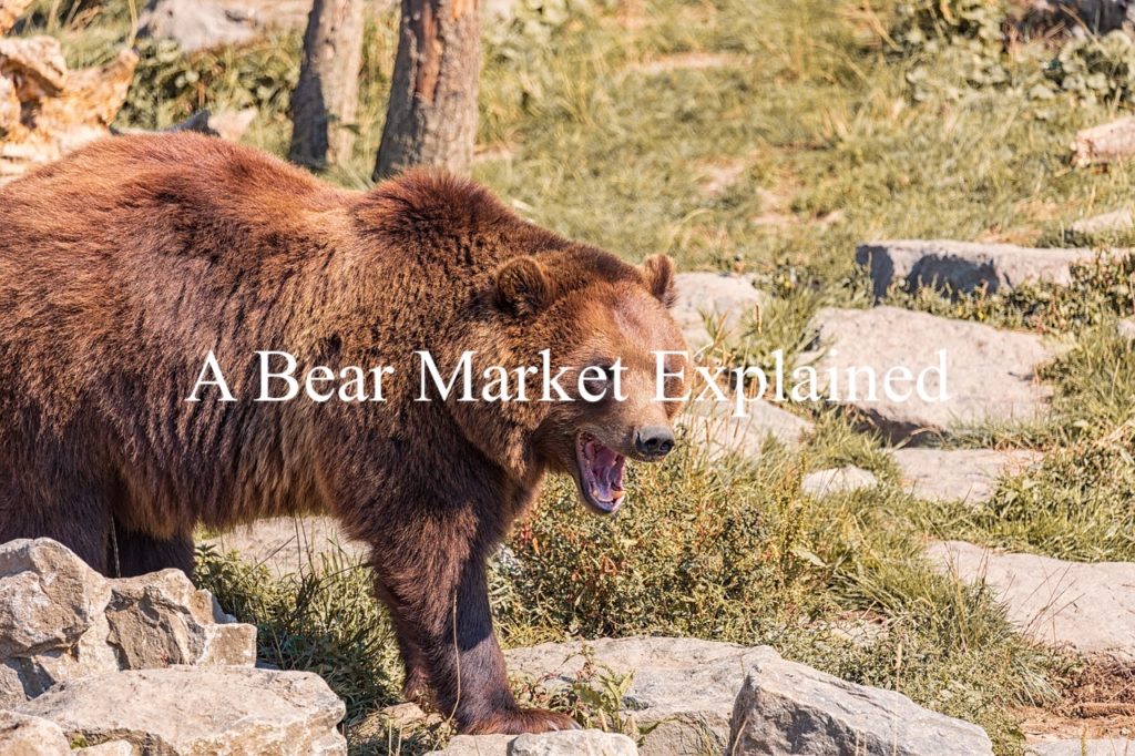 bear-market.jpg